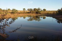 Fazenda Sul de Tocantins – 15.600 hectares Fazenda Sul de Tocantins – 15.600 hectares