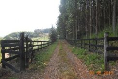 Fazenda Eucalipto 110 alqueires – Guapiara/SP Fazenda Eucalipto 110 alqueires – Guapiara/SP