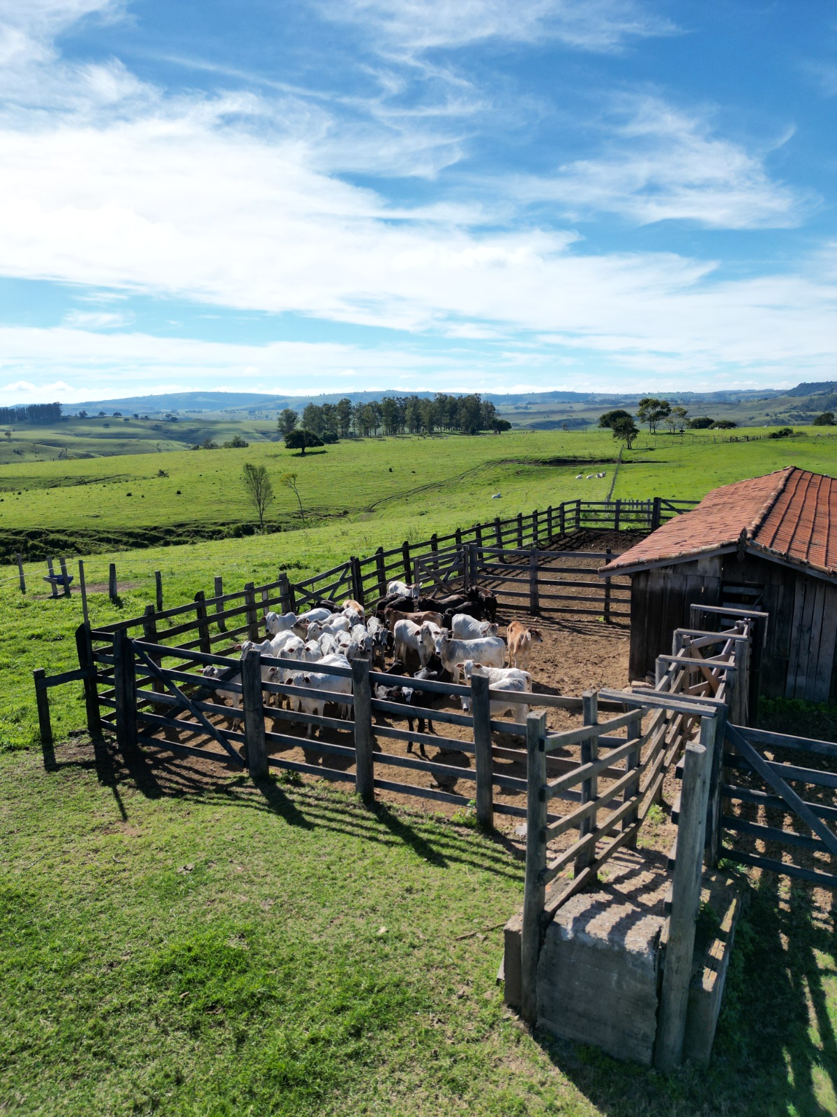 Fazenda 182 hectares – Ribeirão Claro divisa com Jacarezinho – Paraná