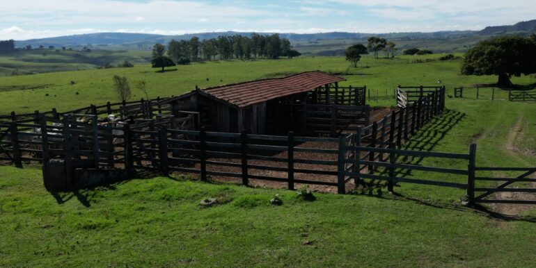 IMG-20260721-WA0045