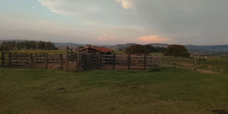IMG-20260814-WA0022