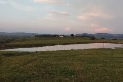 Fazenda 182 hectares – Ribeirão Claro divisa com Jacarezinho – Paraná