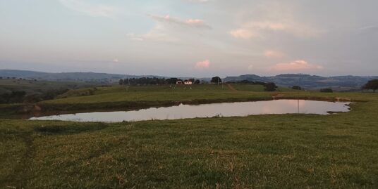 Fazenda 182 hectares – Ribeirão Claro divisa com Jacarezinho – Paraná