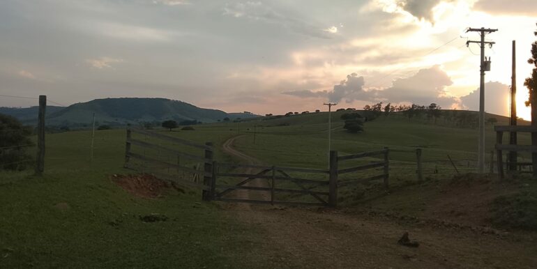 IMG-20260814-WA0024