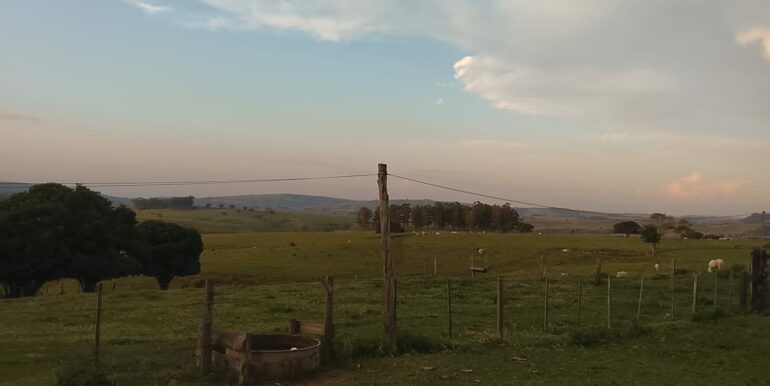 IMG-20260814-WA0026