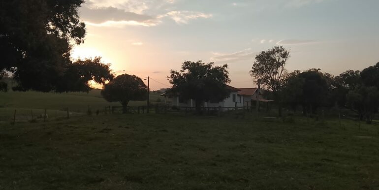 IMG-20260814-WA0028